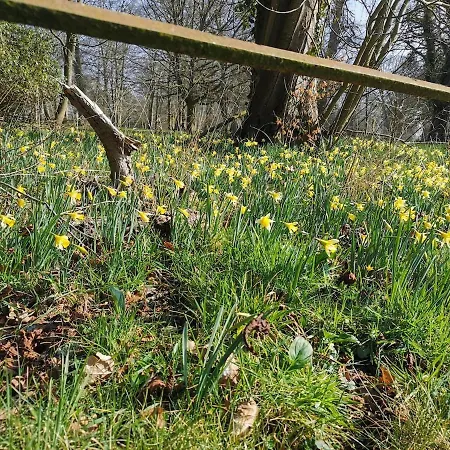 Les De Wargemont L'ecurie Sauchay