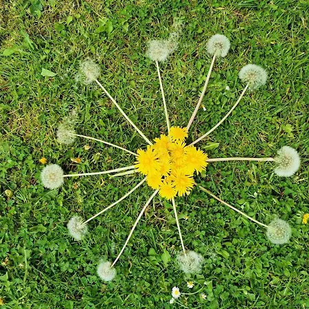 Les De Wargemont L'ecurie *